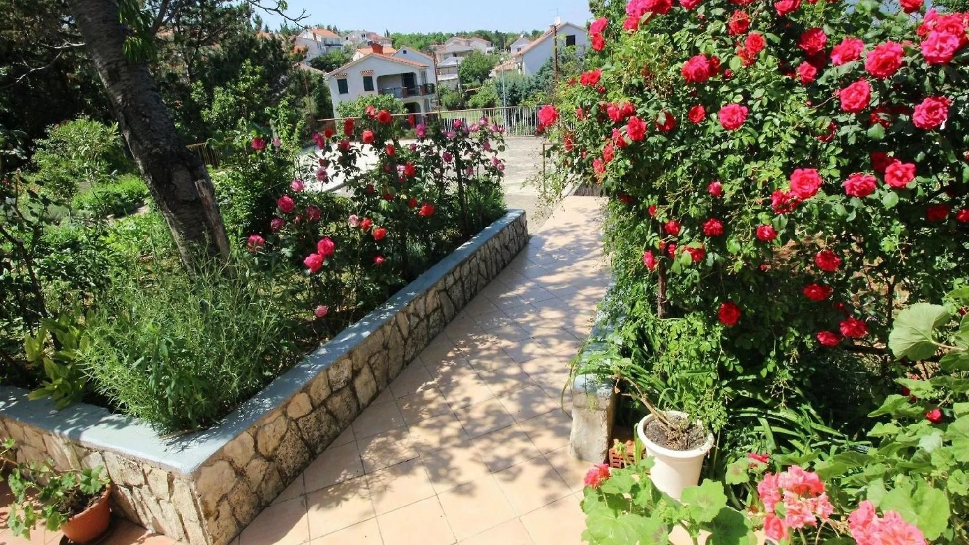 Ferienwohnung Fuer 4 Personen Ca 60 M In Silo, Adriakueste Kroatien Kroatische Inseln 0*, Silo (Krk) Croatia